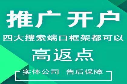 解析SEM托管公司经典案例：如何制定有效的广告策略